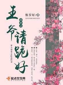 清穿之王爺請跪好